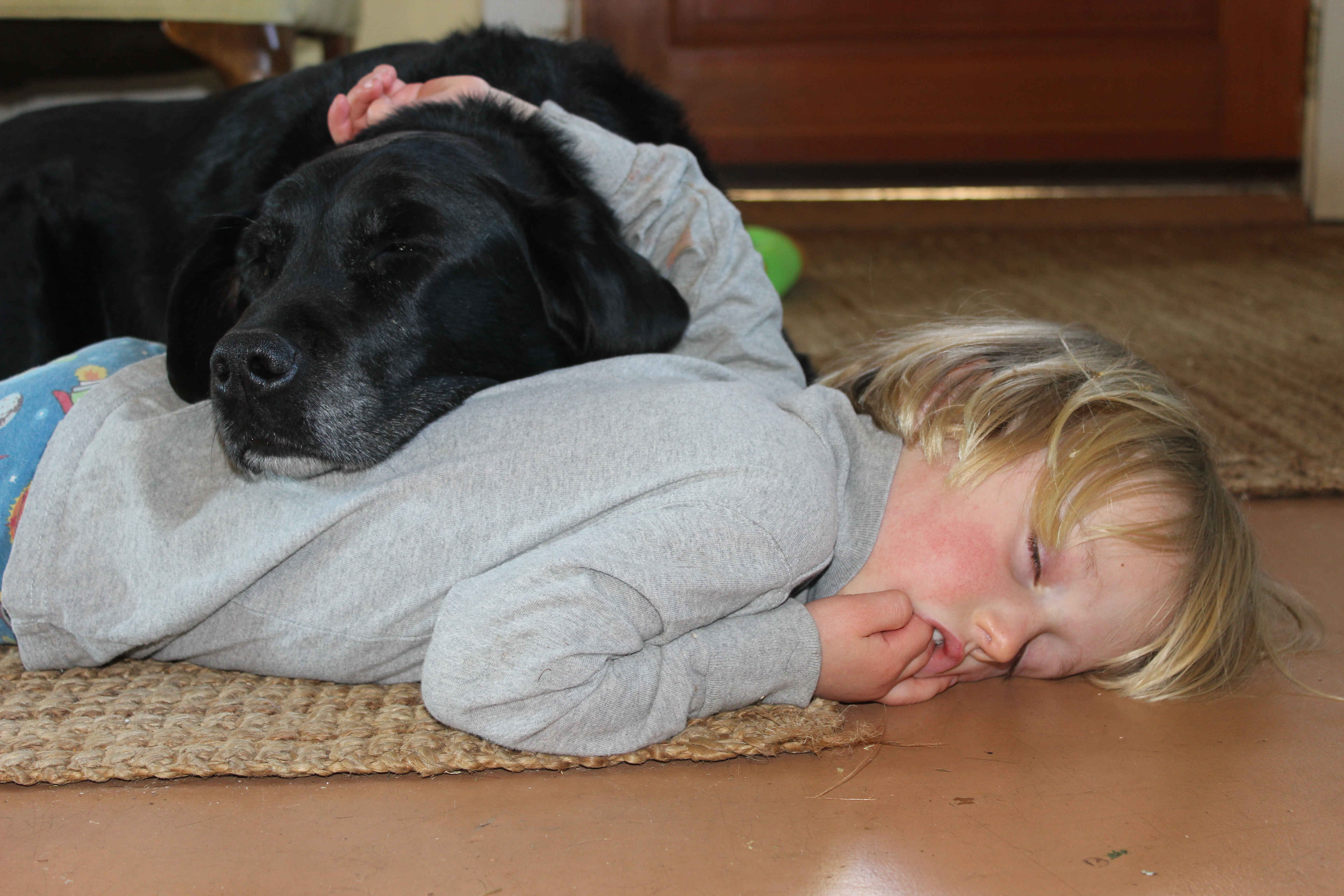 Small boy sleeping on the floor with a dog resting her head on his back